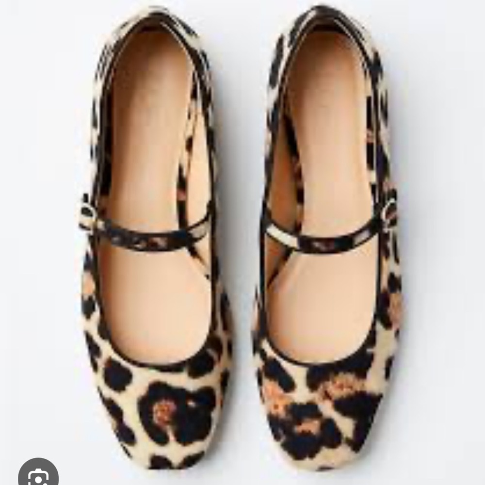 “Loft” Leopard Print Velvet Buckle Strap Ballet Flats; size 8; NWOT - Picture 2 of 9
